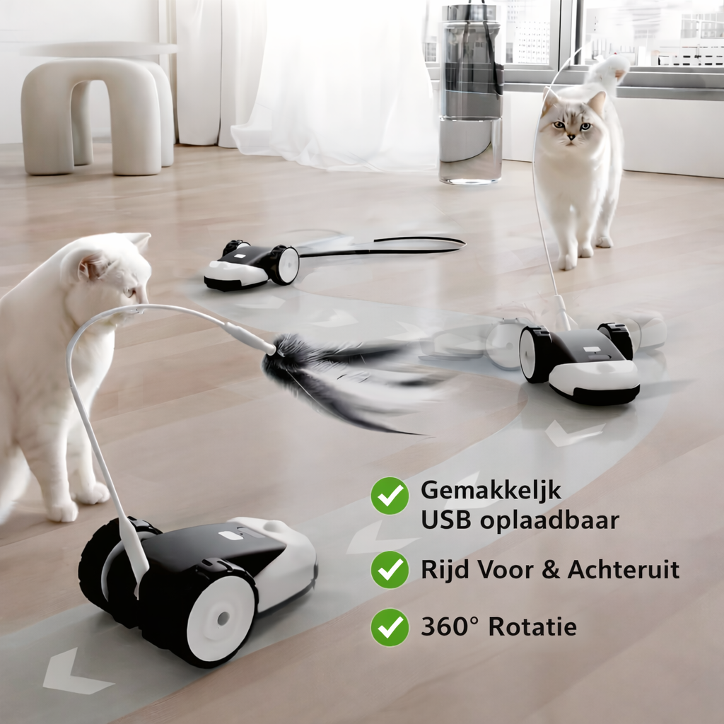 Unleash Wild Playtime for Your Cat with Engaging Fun Toys - Souliia