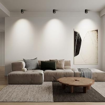The Futuristic Ring Ceiling Light | Souliia