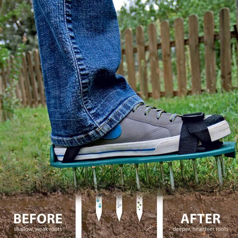 Turf Enhancer – Transform Every Step into a Lush, Green Lawn Secret! - Souliia