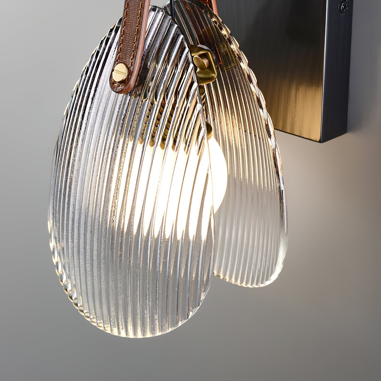 Shell Glass Wall Lamp | Souliia
