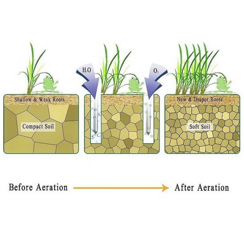 Turf Enhancer – Transform Every Step into a Lush, Green Lawn Secret! - Souliia