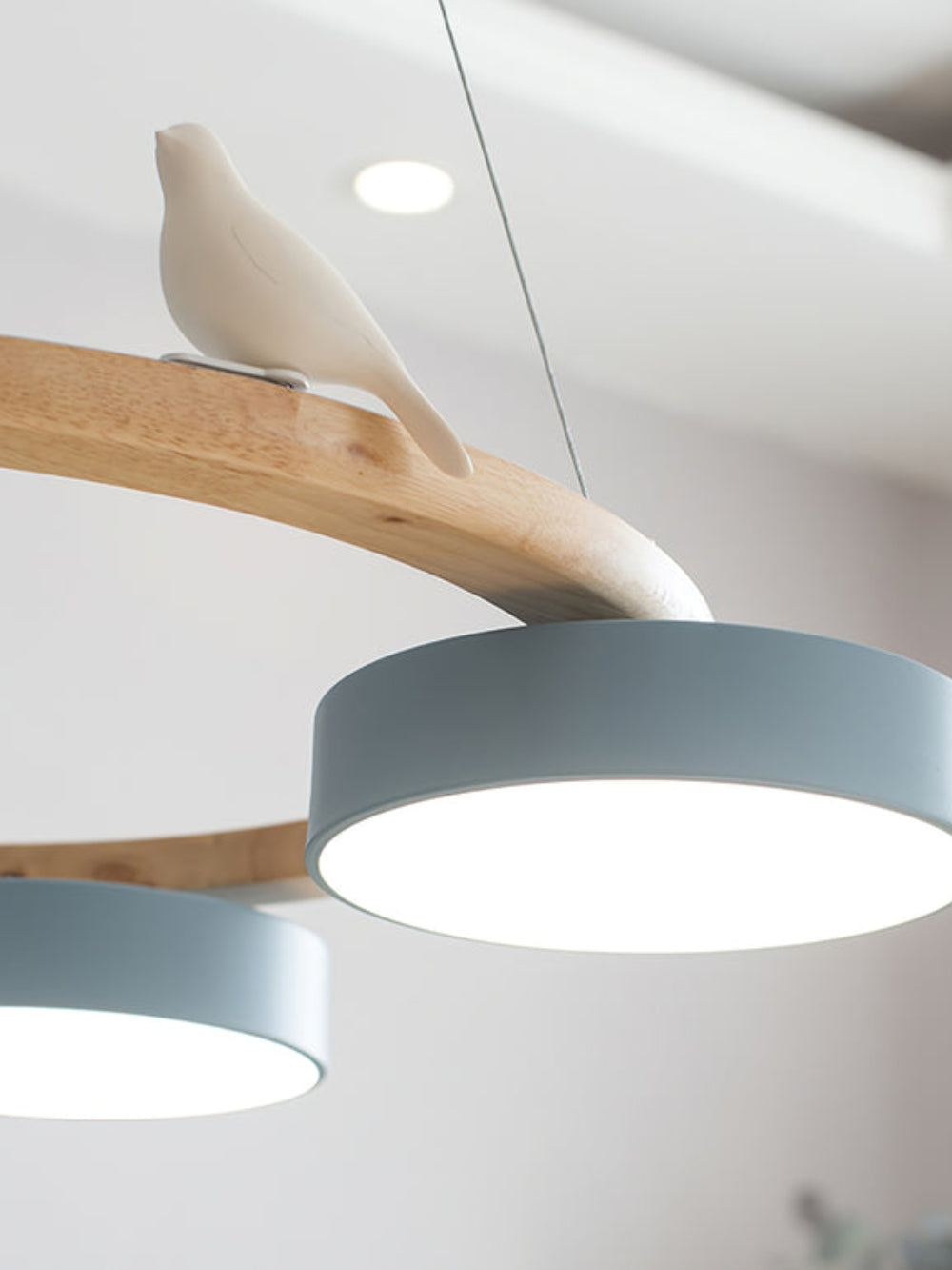Moderne kreativ farverig lysekrone med cirkelformede fugle | Souliia