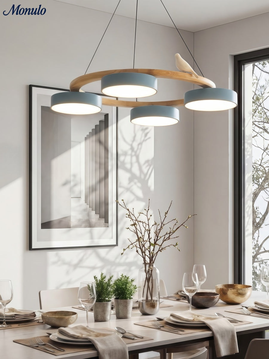 Moderne kreativ farverig lysekrone med cirkelformede fugle | Souliia