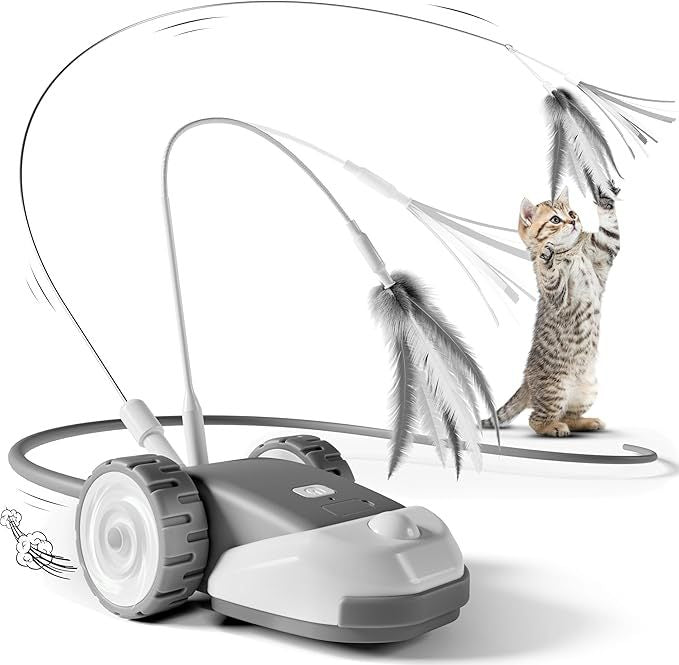 Unleash Wild Playtime for Your Cat with Engaging Fun Toys - Souliia