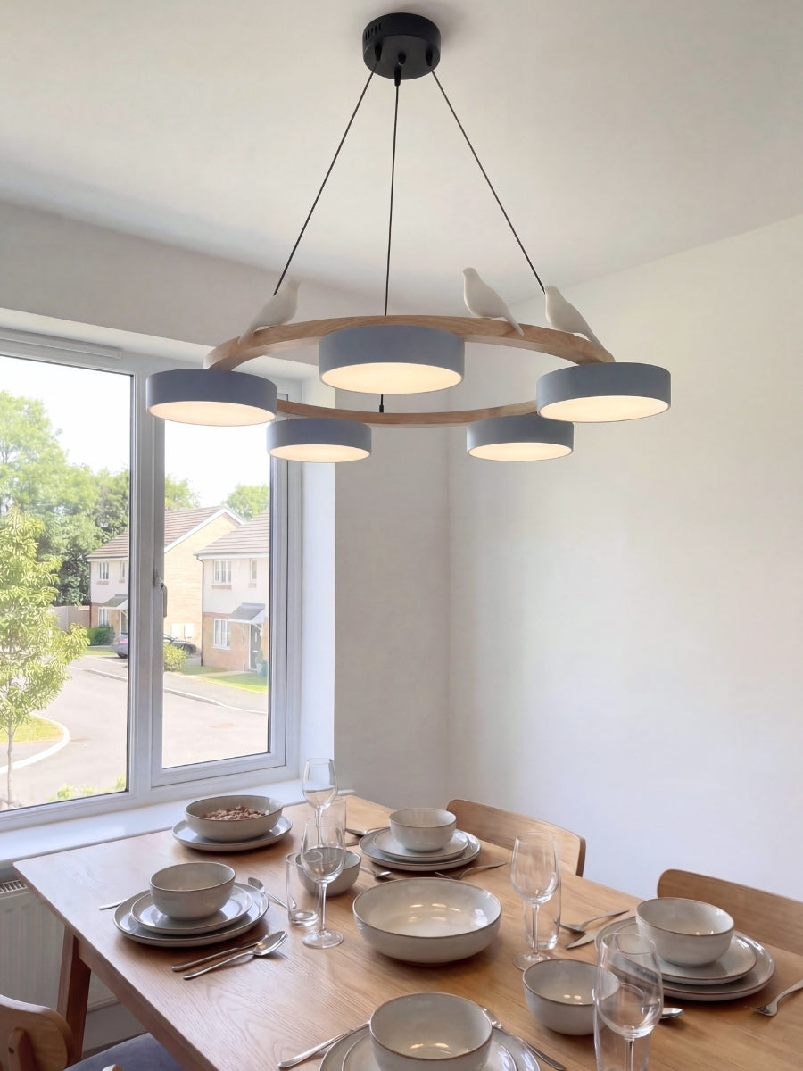 Moderne kreativ farverig lysekrone med cirkelformede fugle | Souliia