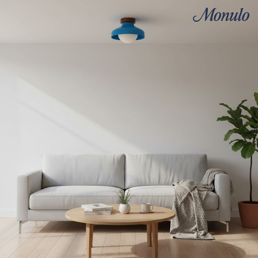 Oribela Minimalist Modern Ceiling Light - Sculptural Glass Dome Lamp for Living Room and Kitchen | Souliia