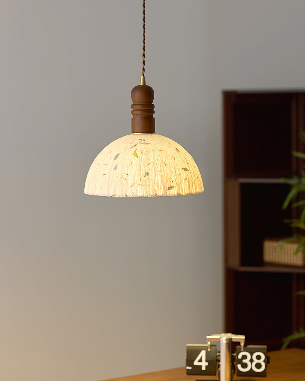 Sylvane Dome Pendant Lamp | Souliia