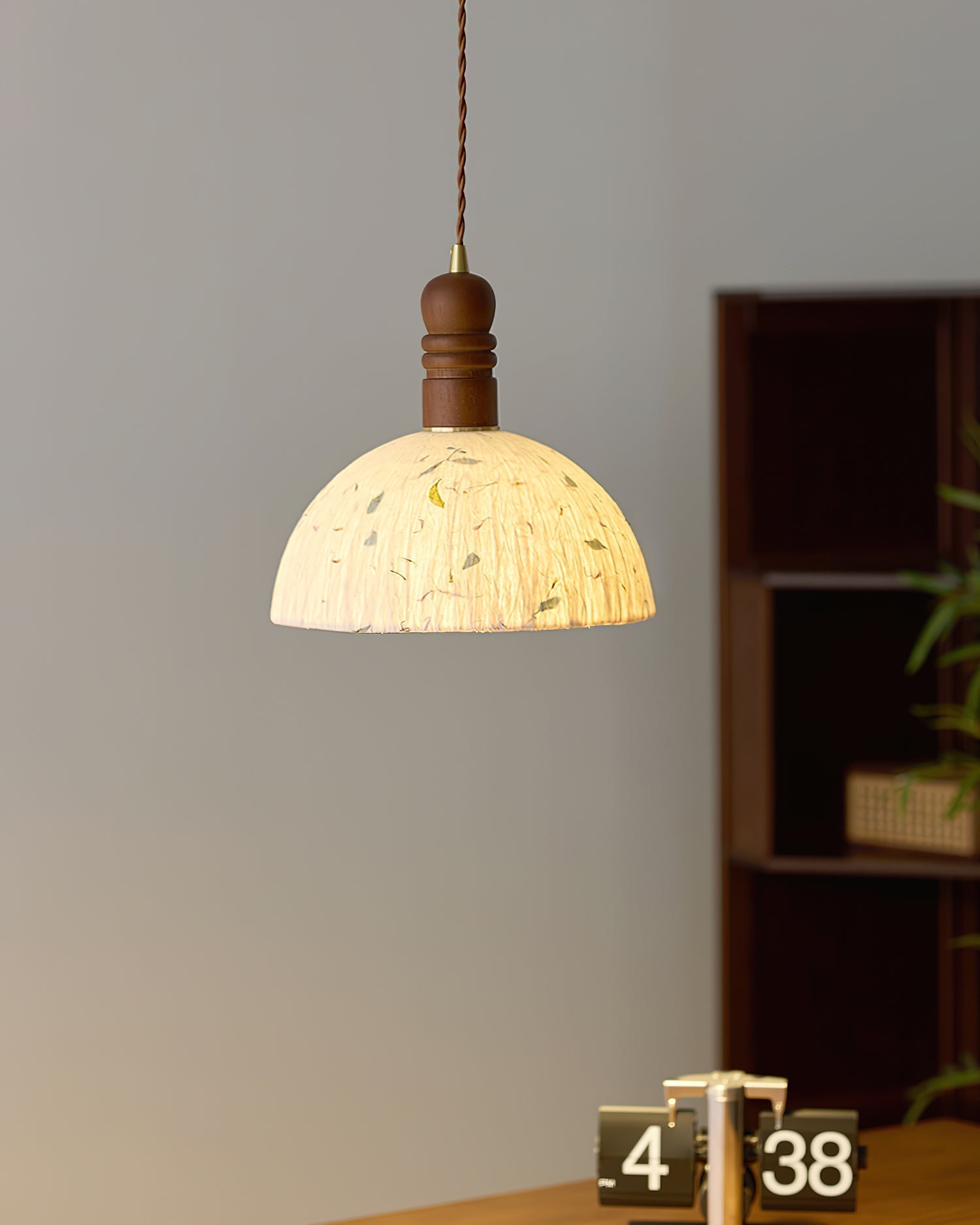 Sylvane Dome Pendant Lamp | Souliia