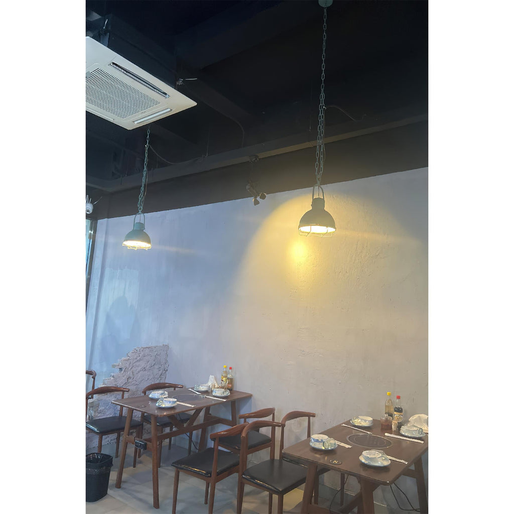 Stella Pendant Light | Souliia