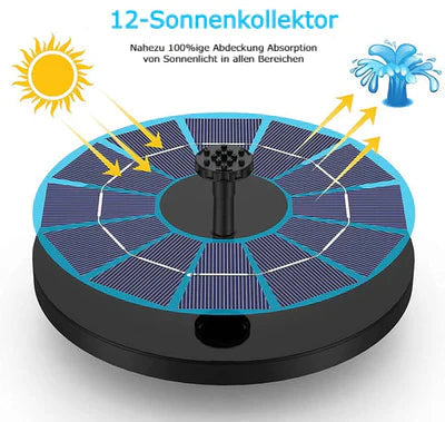 Transform Your Garden into a Lively Oasis of Freshness and Serenity - Souliia