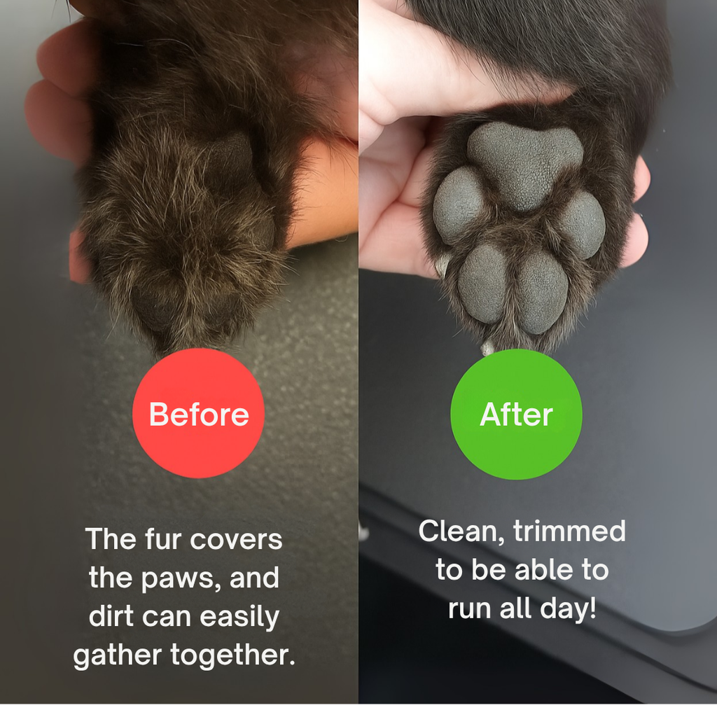 VelvetPaw — Une tonte facile pour des animaux toujours calmes et sereins - Souliia