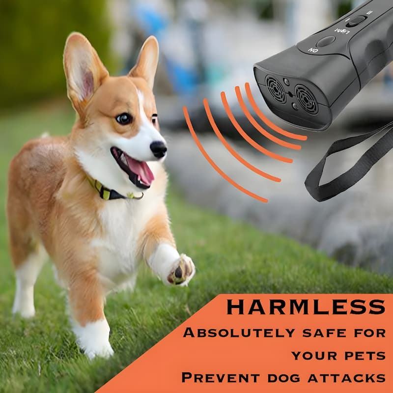Ultrasound Training Aid for Dogs and Cats – Pain-Free Solution - Souliia