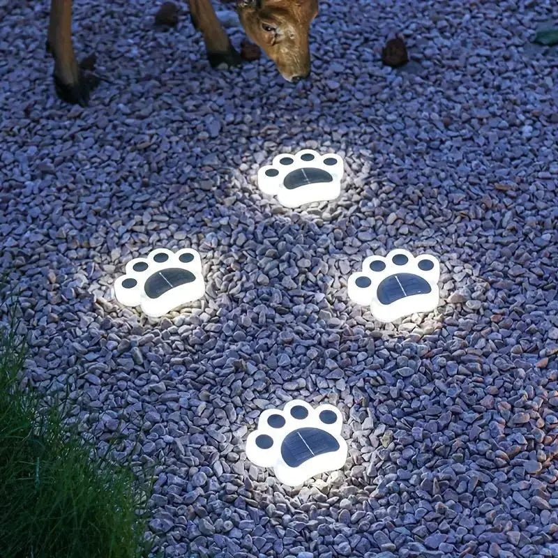 Transform Your Garden into a Radiant Oasis Every Night - Souliia