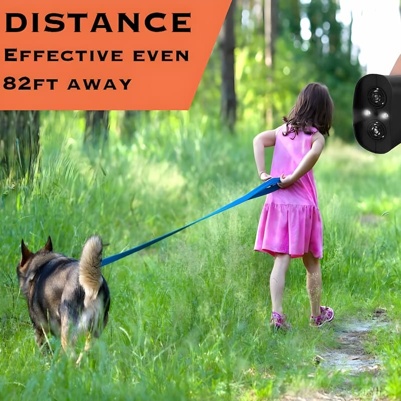 Ultrasound Training Aid for Dogs and Cats – Pain-Free Solution - Souliia