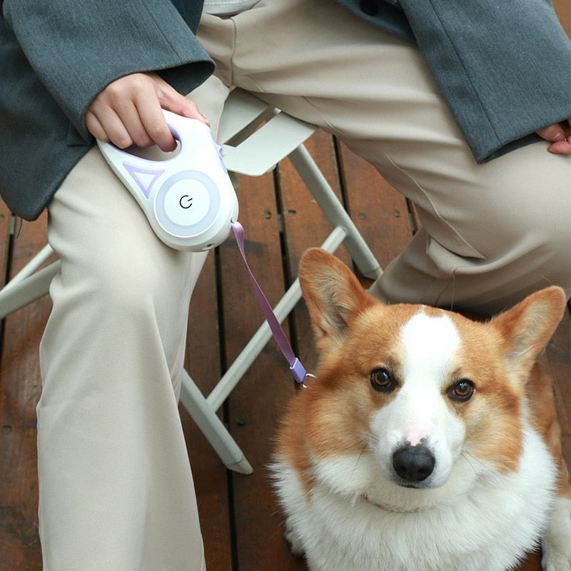 Retractable LED Dog Leash with Built-In Walking Light