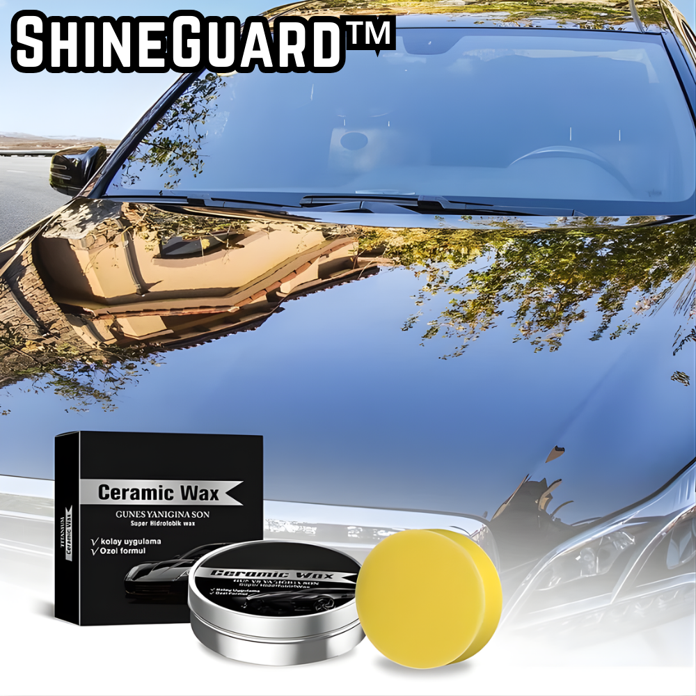 Transform Your Paint into a Shining Masterpiece That Attracts Attention - Souliia