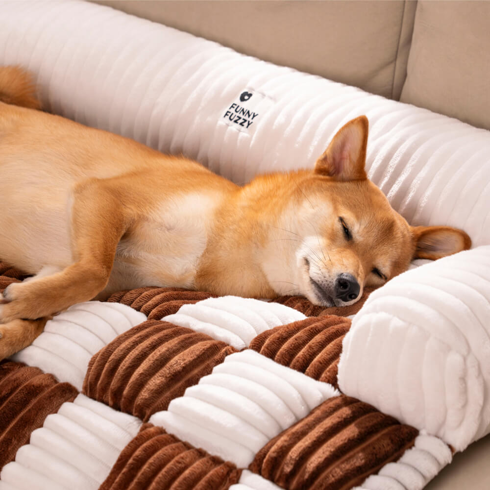 Transform Your Sofa into a Scratch-Resistant Cozy Paradise for Pets! - Souliia