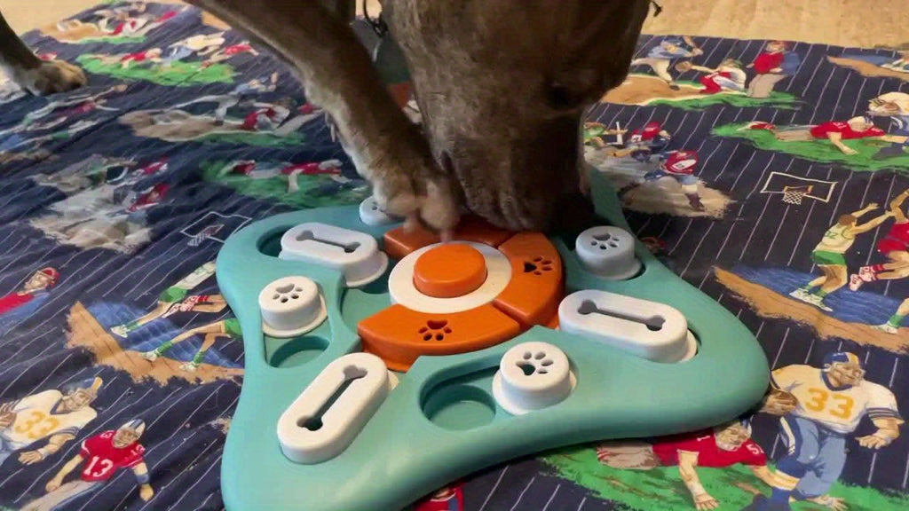 BrainFetch Interactive Puzzle IQ Slow Feeder — Sliding Compartment System, Cognitive Eating Trainer for Dogs