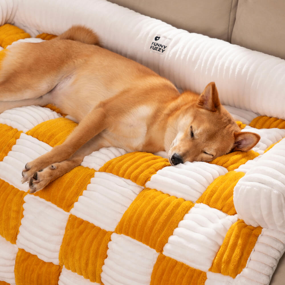Transform Your Sofa into a Scratch-Resistant Cozy Paradise for Pets! - Souliia