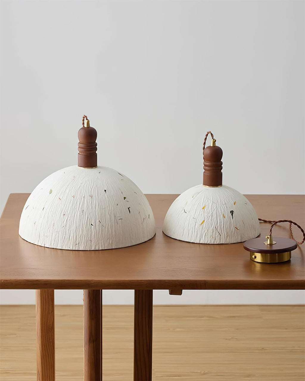 Sylvane Dome Pendant Lamp | Souliia