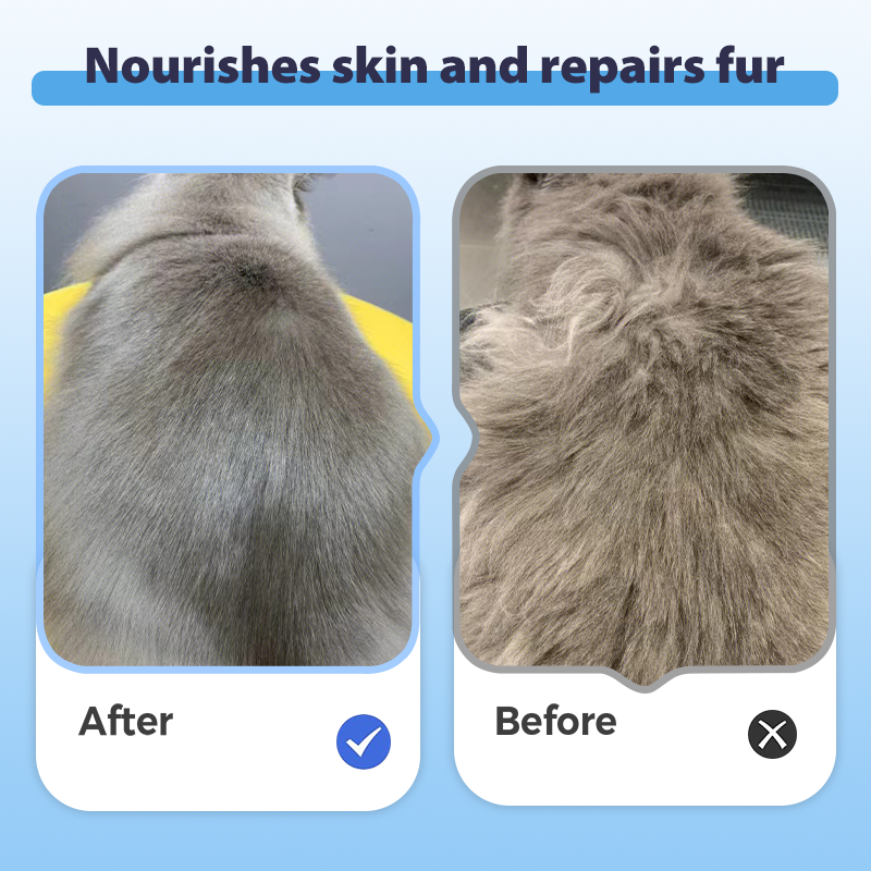 Shampoo for Silky, Happy Fur for All Pets - Souliia