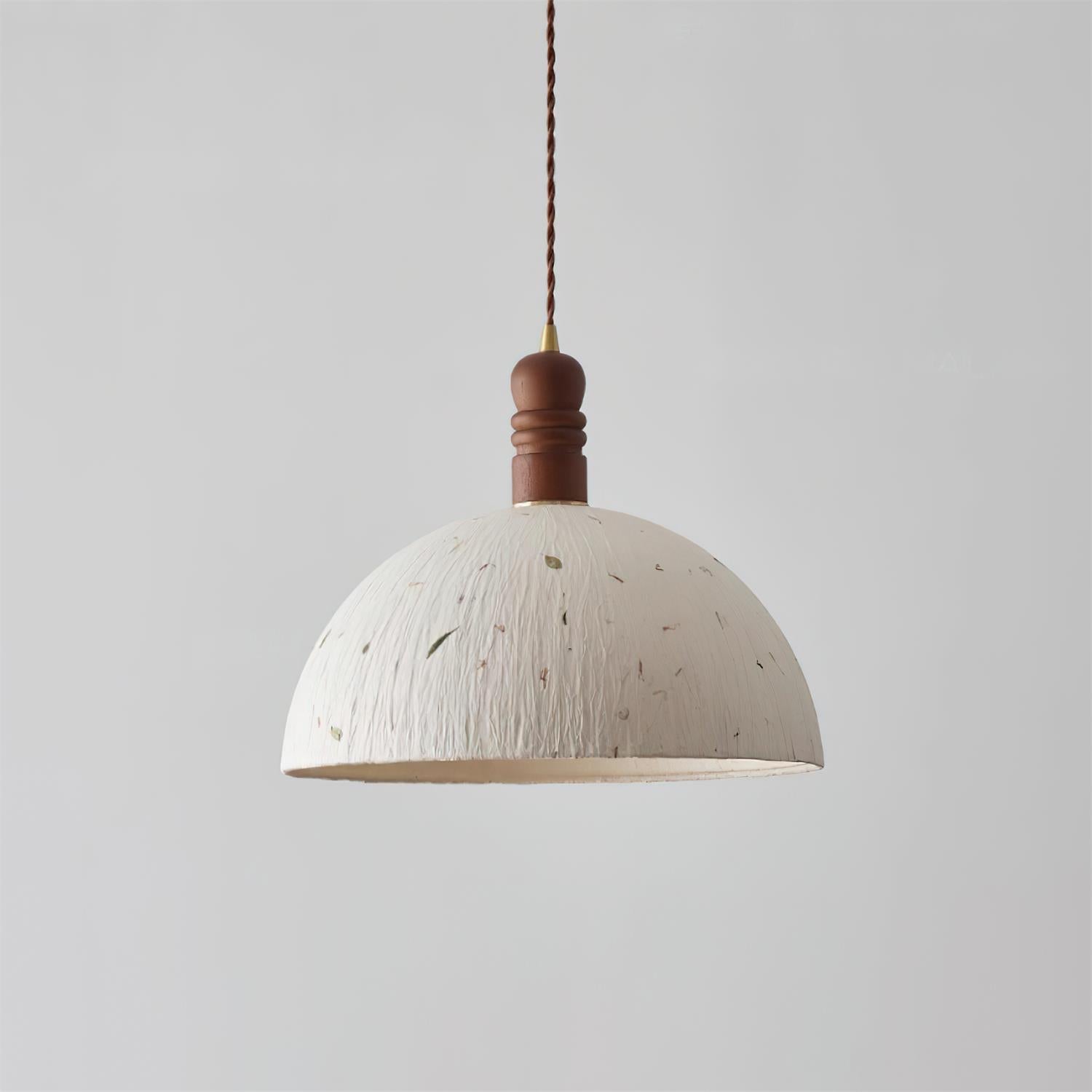 Sylvane Dome Pendant Lamp | Souliia
