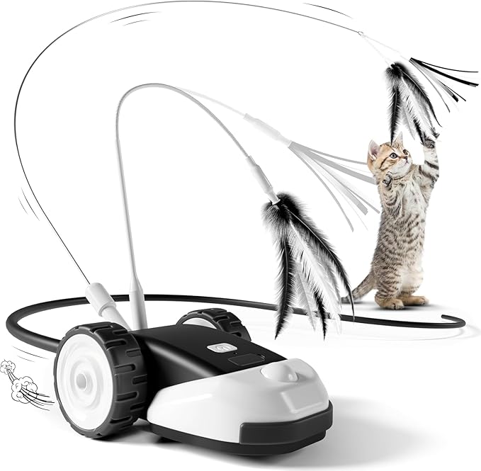 Unleash Wild Playtime for Your Cat with Engaging Fun Toys - Souliia