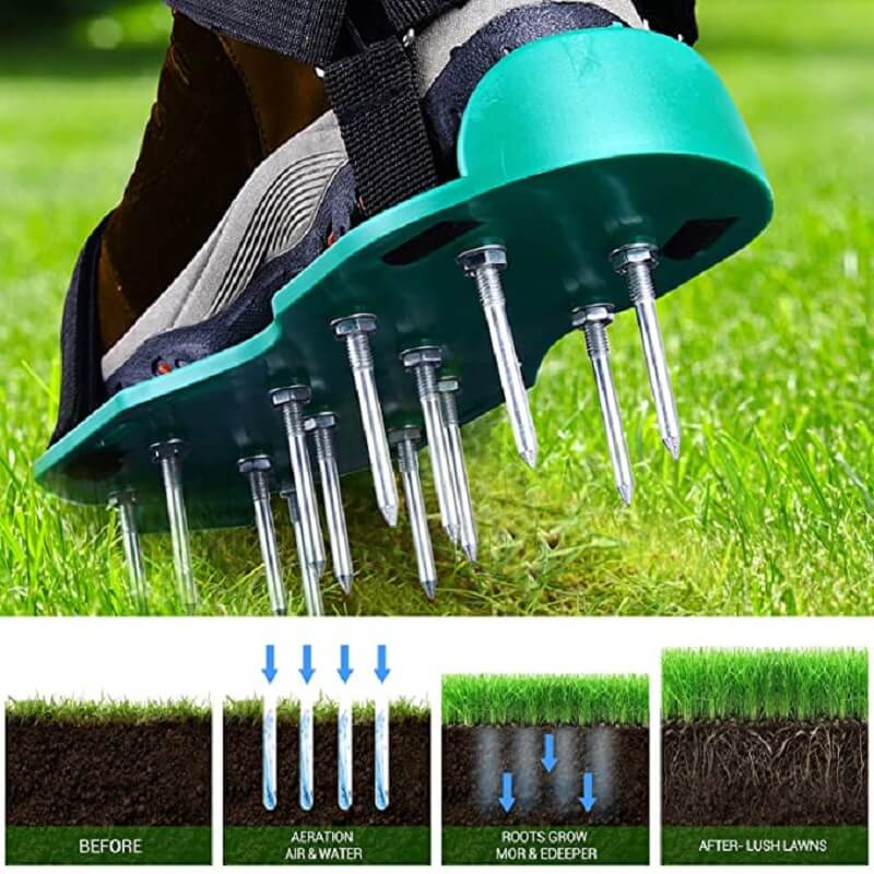 Turf Enhancer – Transform Every Step into a Lush, Green Lawn Secret! - Souliia