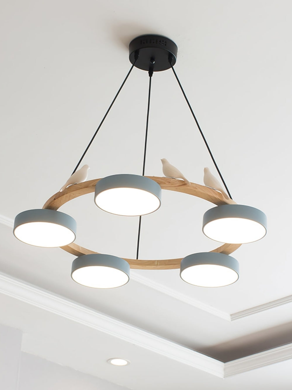 Moderne kreativ farverig lysekrone med cirkelformede fugle | Souliia