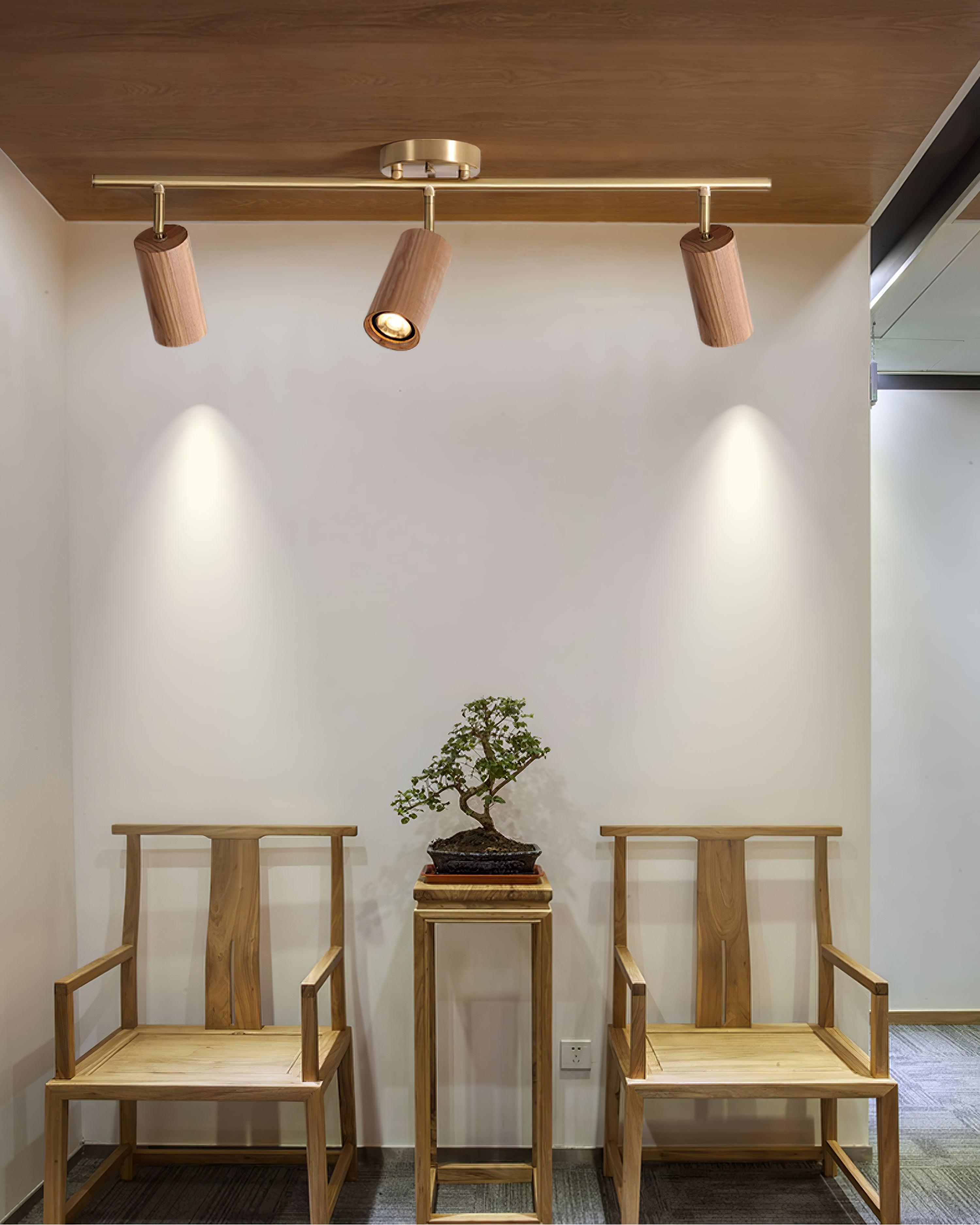 Thio Wooden Track Lighting | Souliia