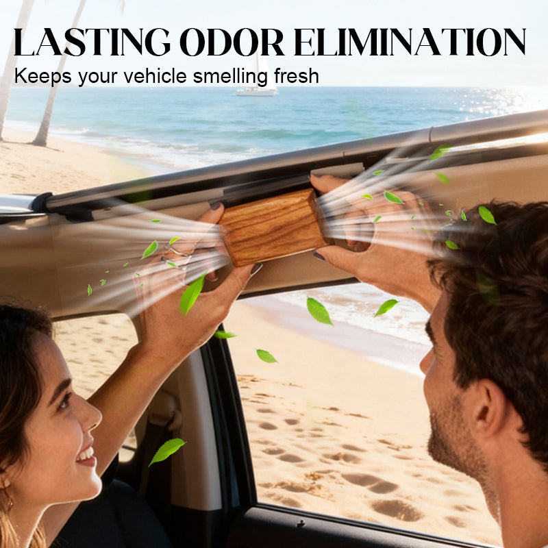 Transform Your Car into a Luxurious Scented Oasis of Natural Freshness - Souliia