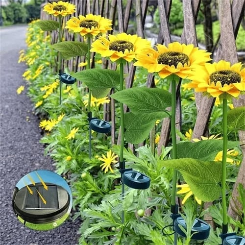 RamaraSun Girasoli solari — Illumina le tue notti con l'incanto del giardino, senza sforzo - Souliia