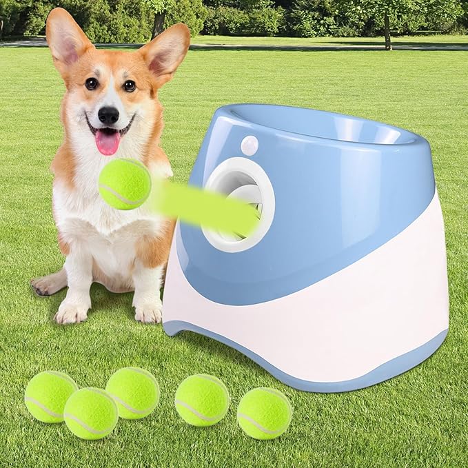 Unleash Endless Fun for Your Energetic Champion with PlayPulse - Souliia