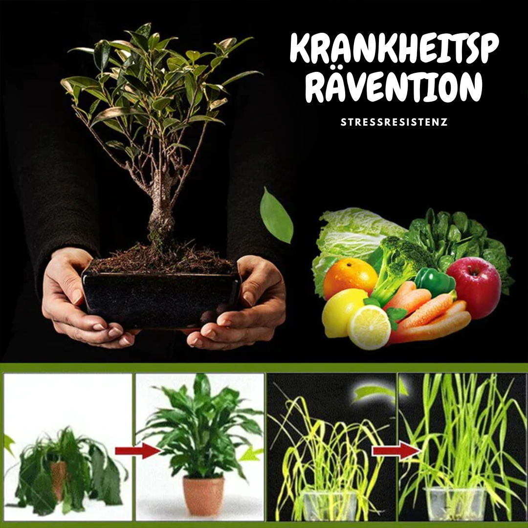 Faites s’épanouir des plantes vibrantes et pleines de vie en quelques jours seulement avec TerraPulse - Souliia