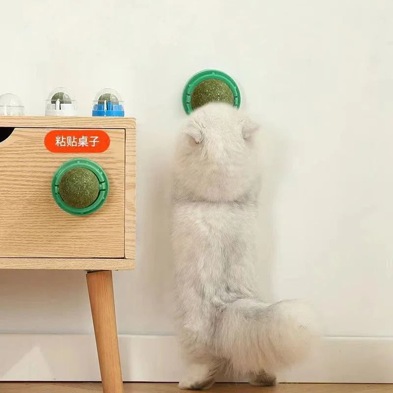 4-delige premium kattenkruidballen - gebitsverzorging en speelse verrijking