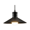 The Period Pendant Light | Souliia