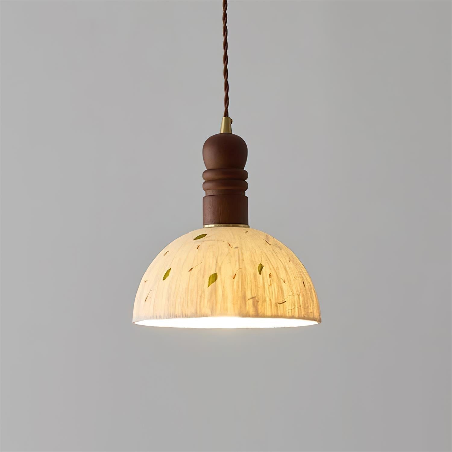 Sylvane Dome Pendant Lamp | Souliia