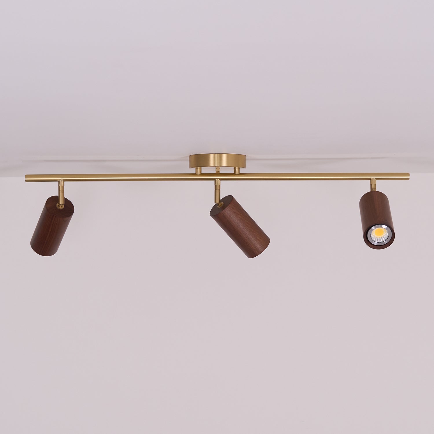 Thio Wooden Track Lighting | Souliia