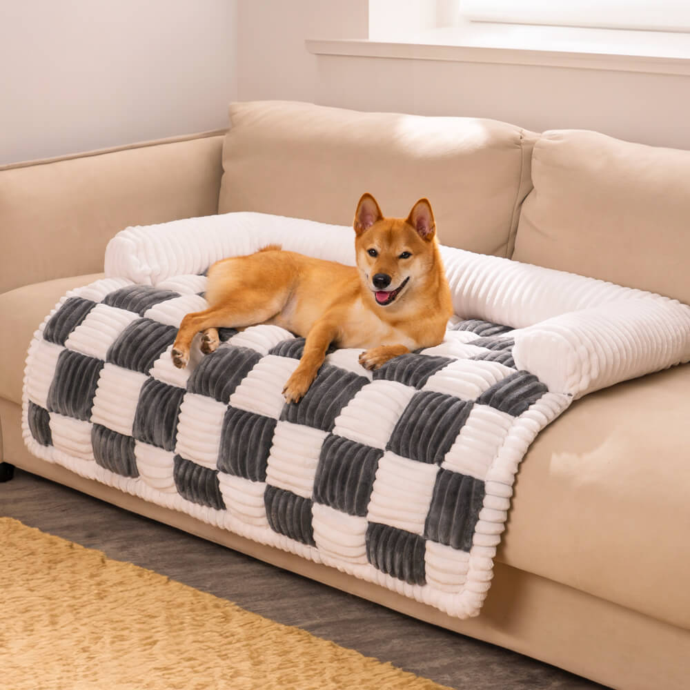 Transform Your Sofa into a Scratch-Resistant Cozy Paradise for Pets! - Souliia