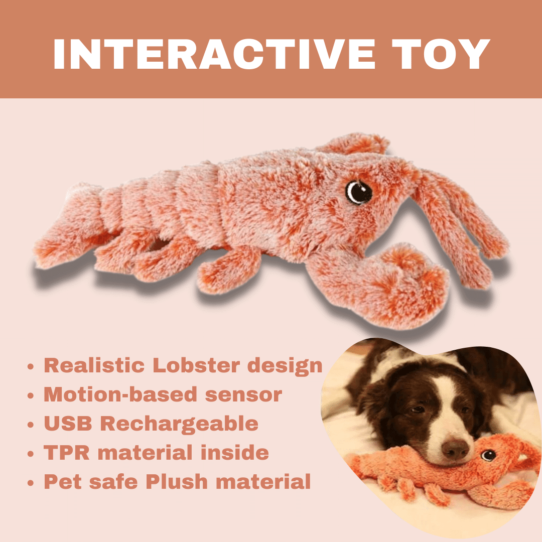 Interaktives Hummer-Hundespielzeug — orange, 13.8 x 8.3 Zoll
