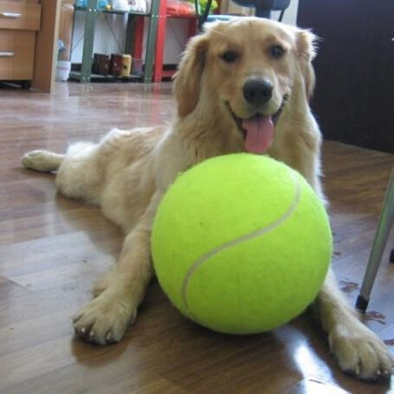 XXL-Tennisball für Hunde — 24 cm Durchmesser, extra großes Spielzeug