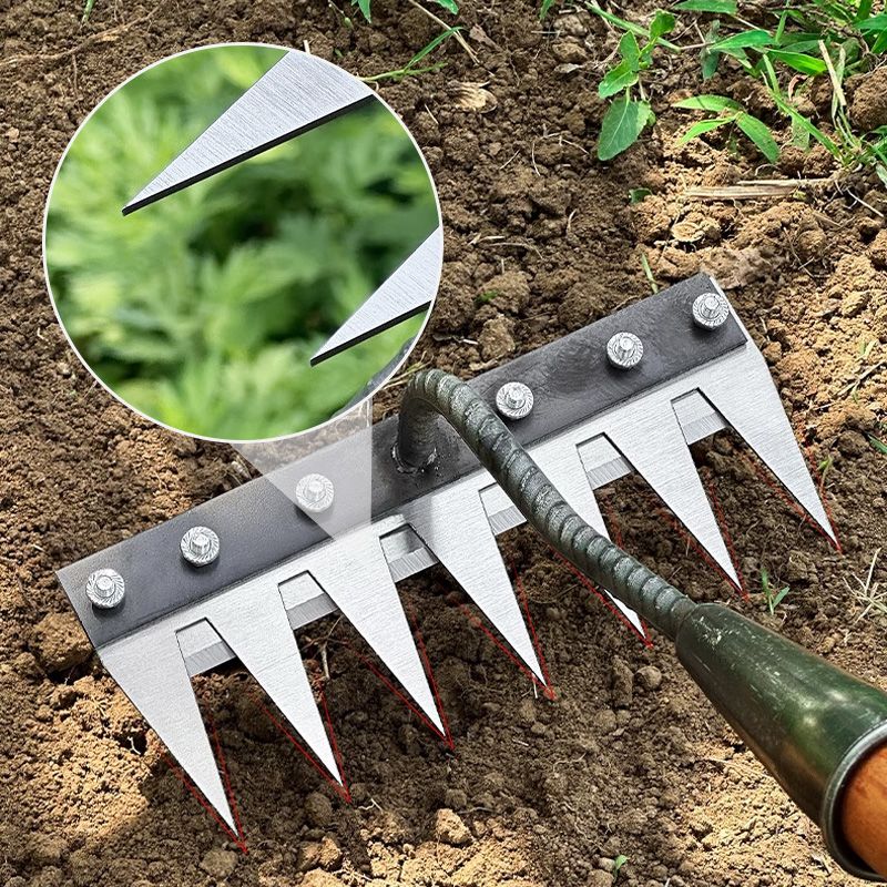 Rasenrechen mit vielseitigem Griff zum Entfernen von Gartenabfällen und Rasenfilz