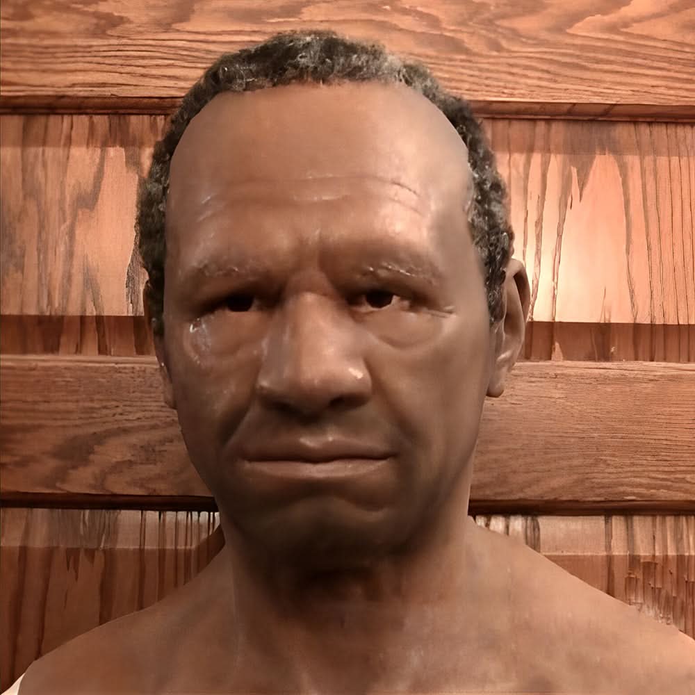 Rolewear Lifelike Flexible Latex Character Mask