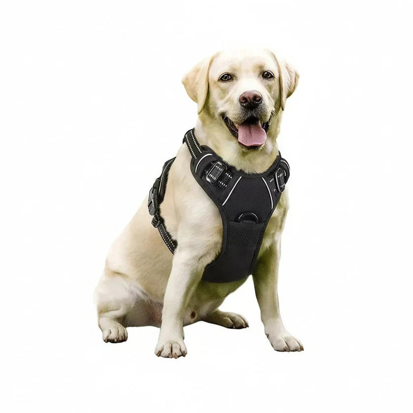 PawsLux Leather Dog Collar, Harness and Leash Set