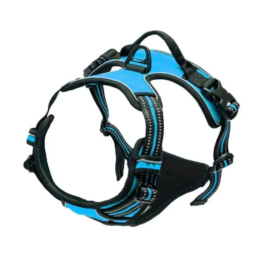 PawsLux Leather Dog Collar, Harness and Leash Set