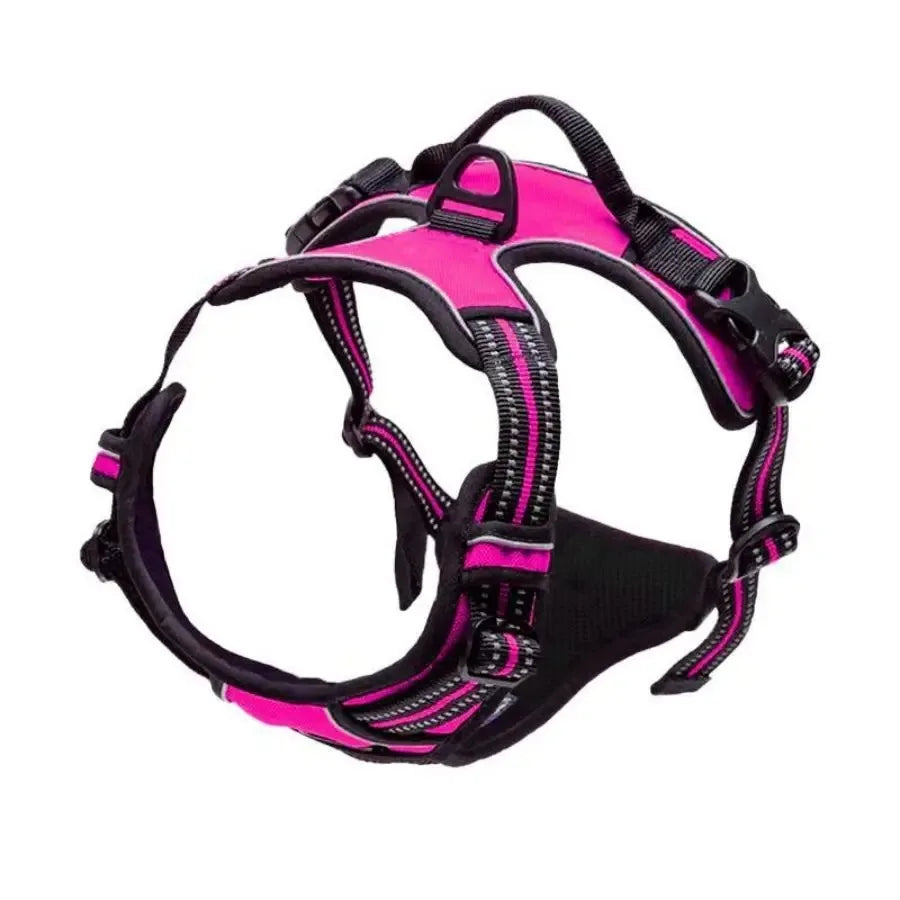 PawsLux Leather Dog Collar, Harness and Leash Set