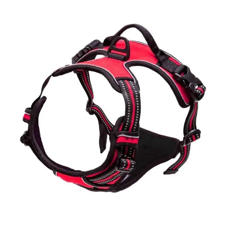 PawsLux Leather Dog Collar, Harness and Leash Set
