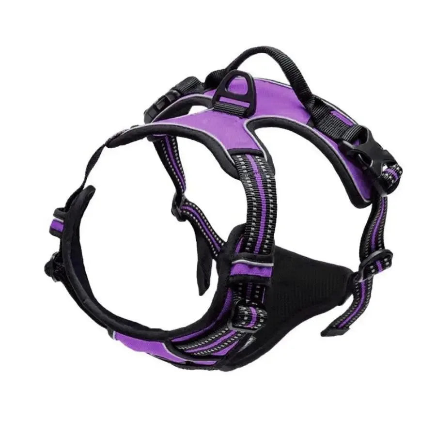 PawsLux Leather Dog Collar, Harness and Leash Set