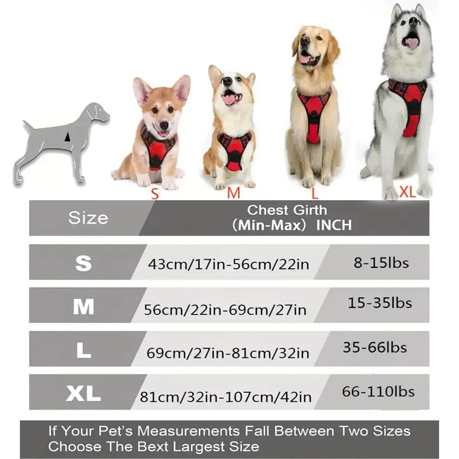 PawsLux Leather Dog Collar, Harness and Leash Set