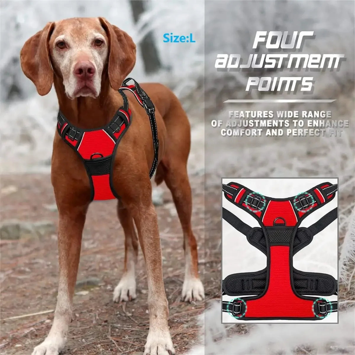 PawsLux Leather Dog Collar, Harness and Leash Set